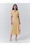 selected Yellow Daisy Ray