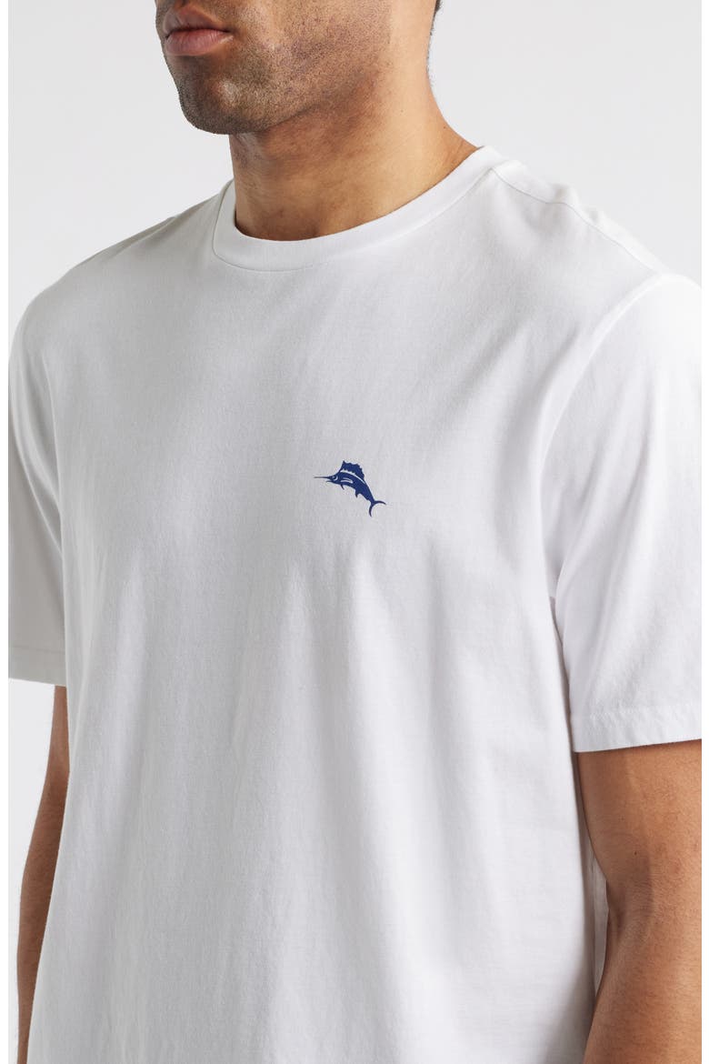 Americana Boardblock Cotton T-Shirt, Alternate, color, WHITE