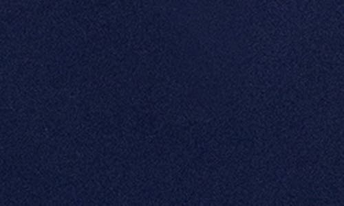 Xscape Evenings Floral Appliqué Long Sleeve Gown In Navy