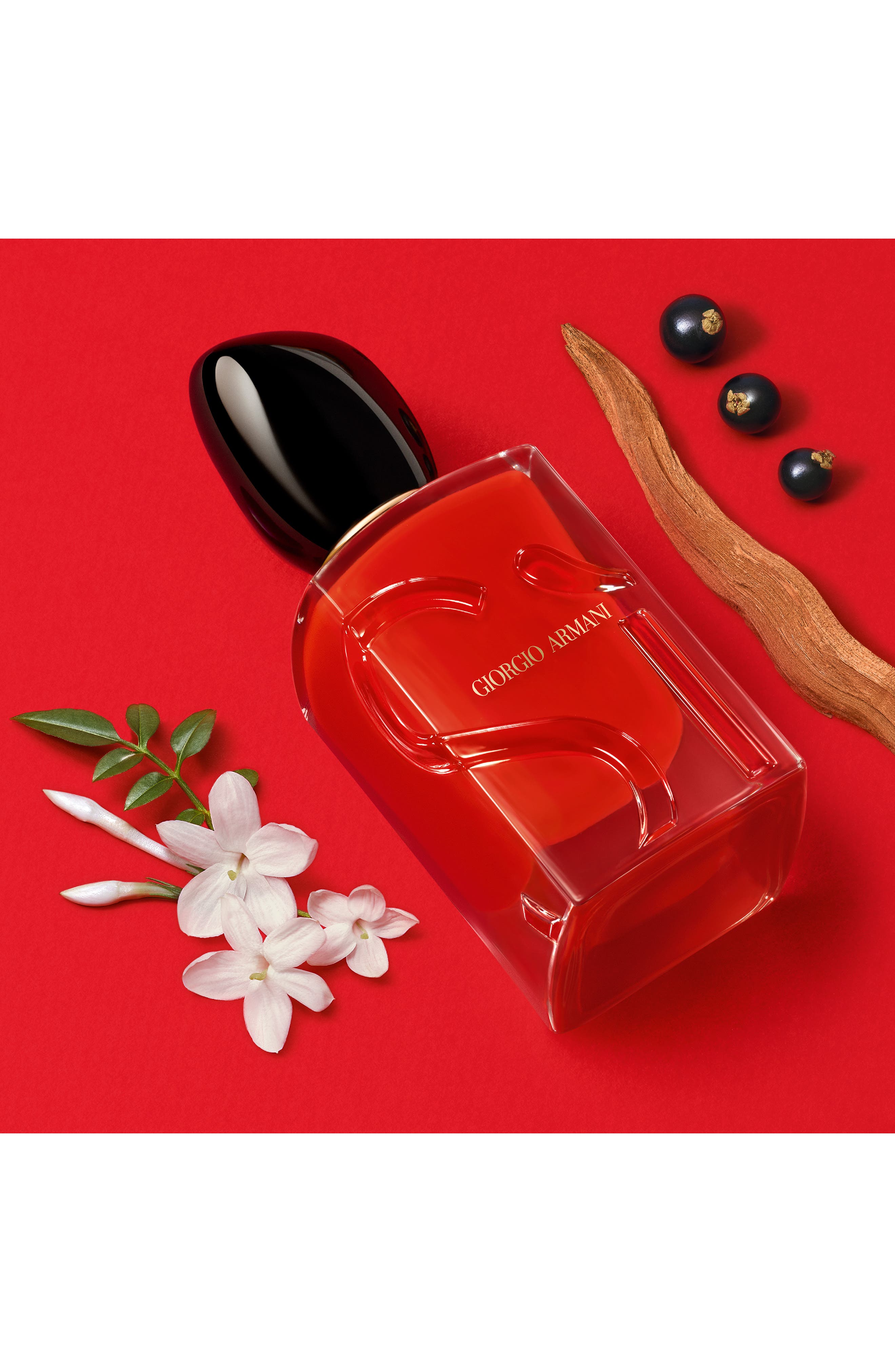 ARMANI Women's Travel Fragrance Set (Limited Edition) (Women