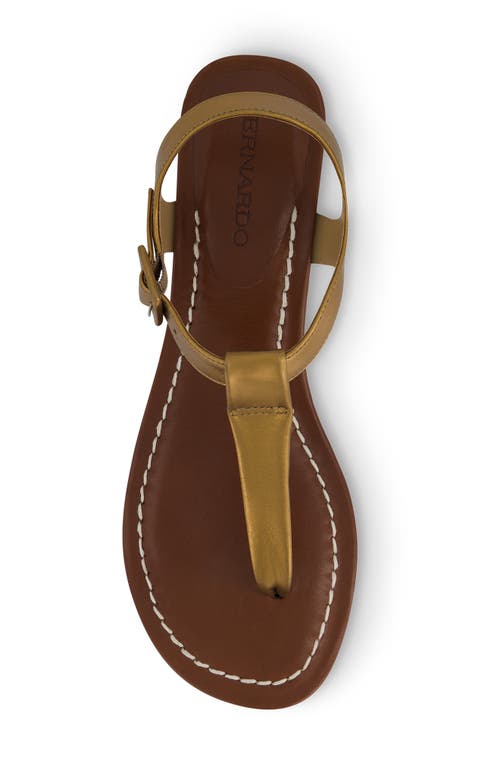 Bernardo Goya T-strap Sandal In Brown