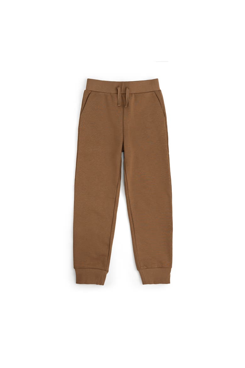 Brown Jogger, Main, color, Brown
