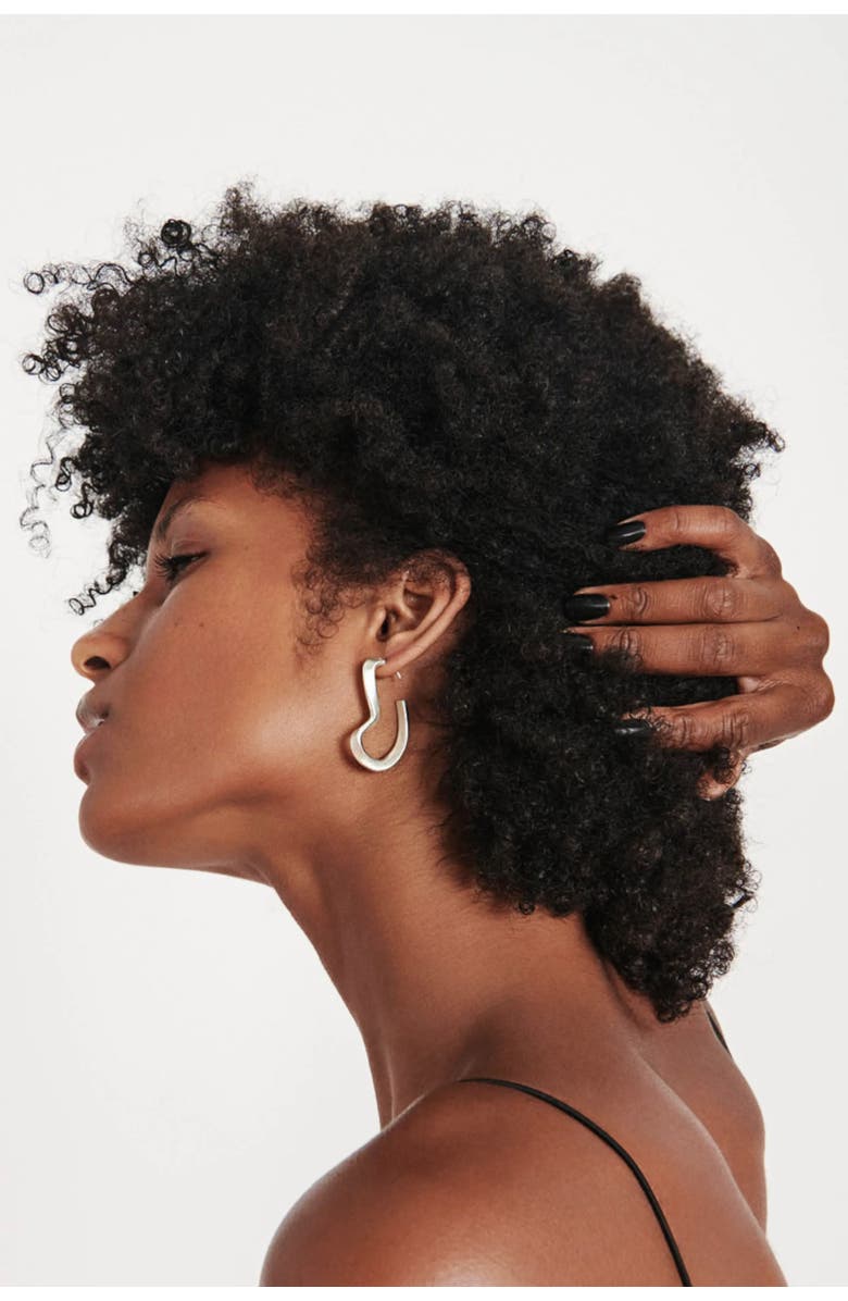 Nabs And Babs Sahab Hoop Earrings, Alternate, color, Silver