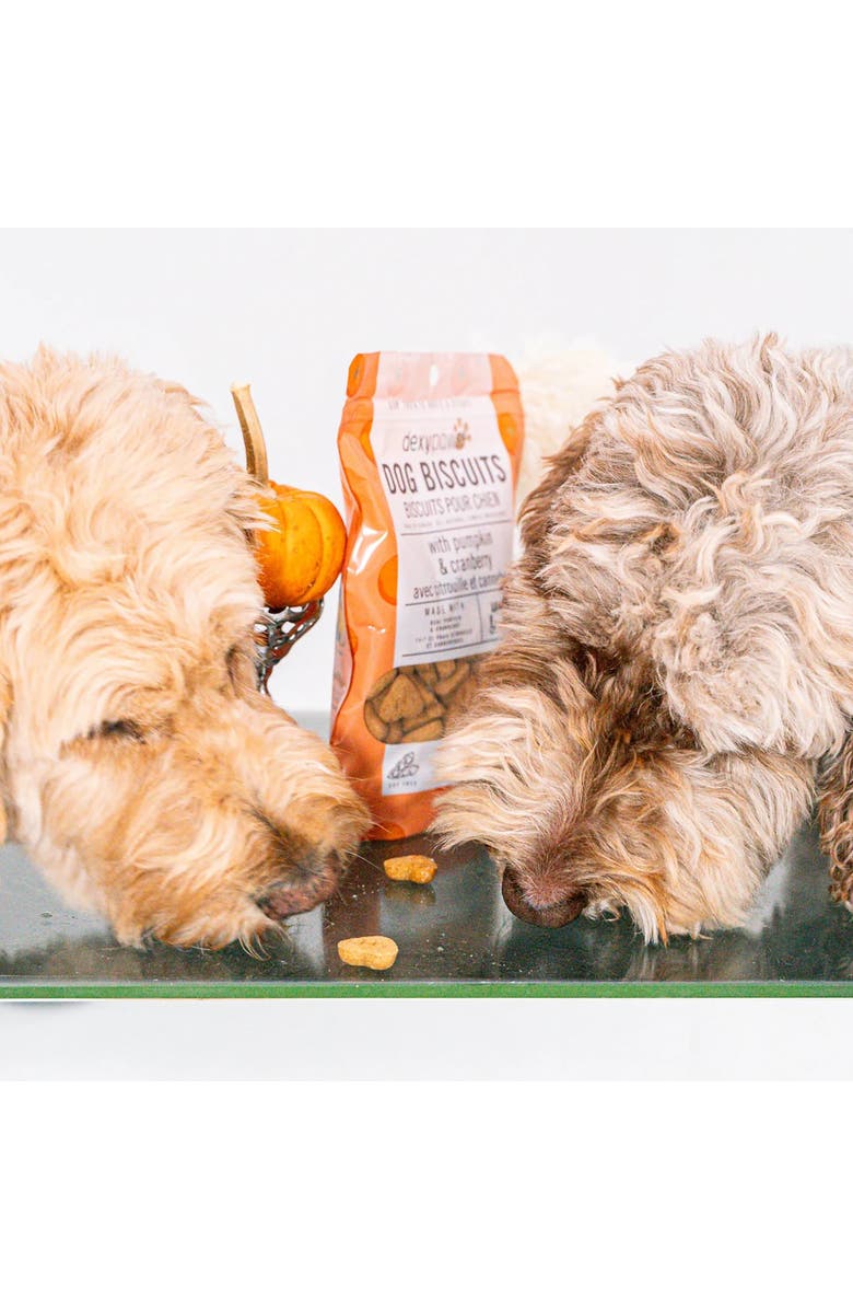 Dexypaws Pumpkin & Cranberry Dog Biscuits 12oz, Alternate, color, Brown