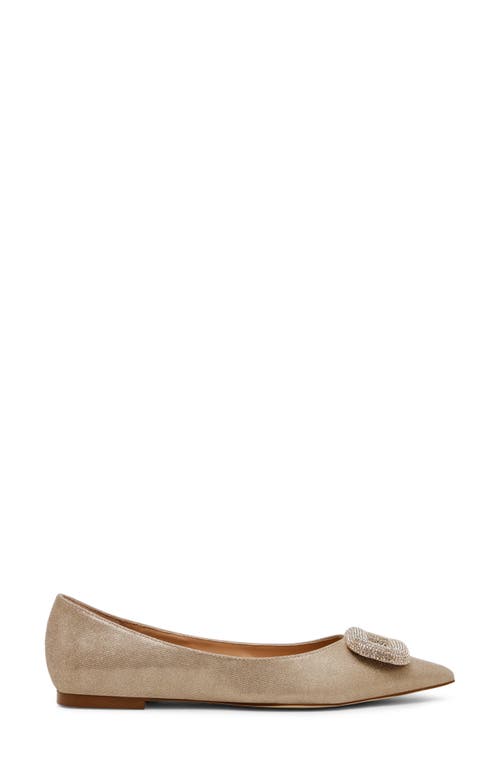Steve Madden Tink Pointed Toe Flat In Gold