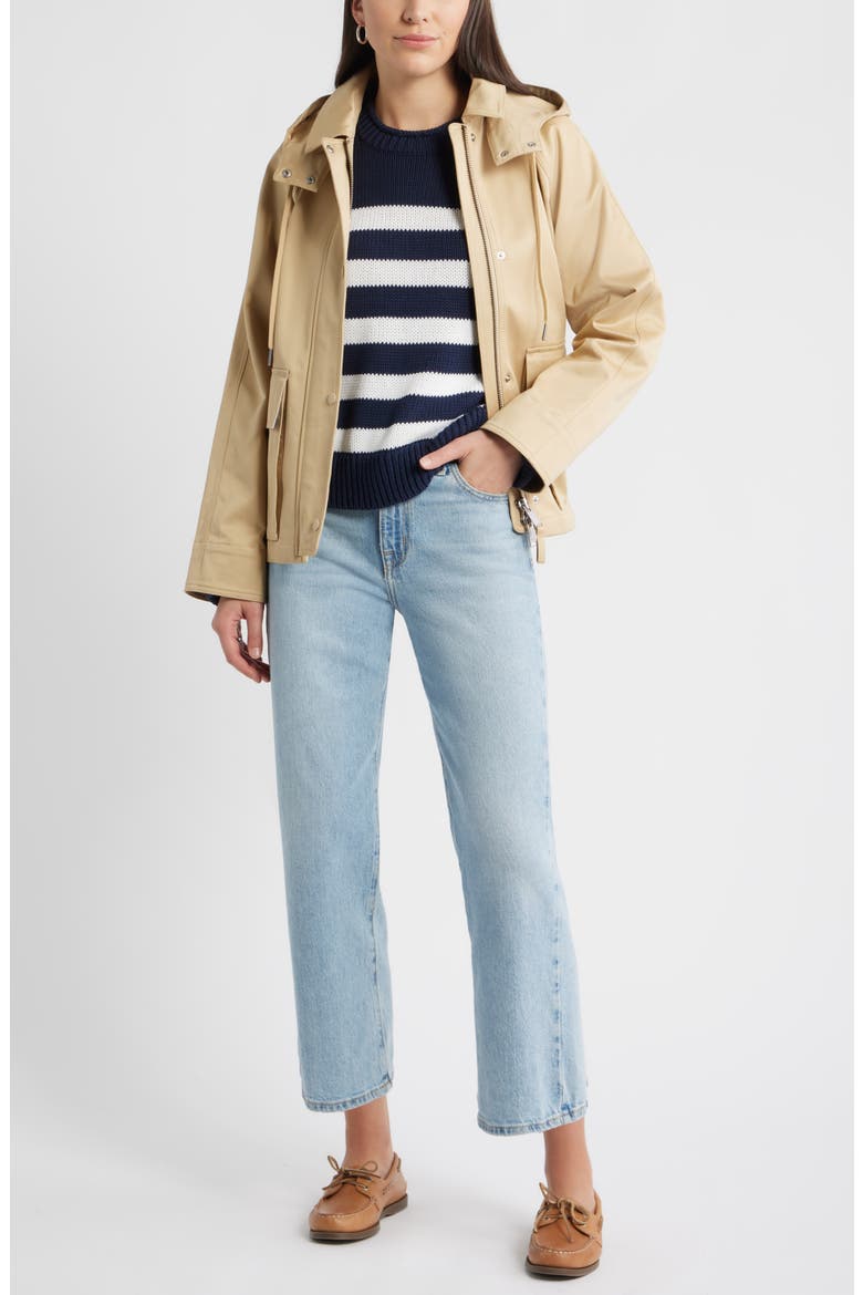 Stripe Roll Neck Cotton Sweater, Alternate, color, NAVY STILL- WHITE STRIPE