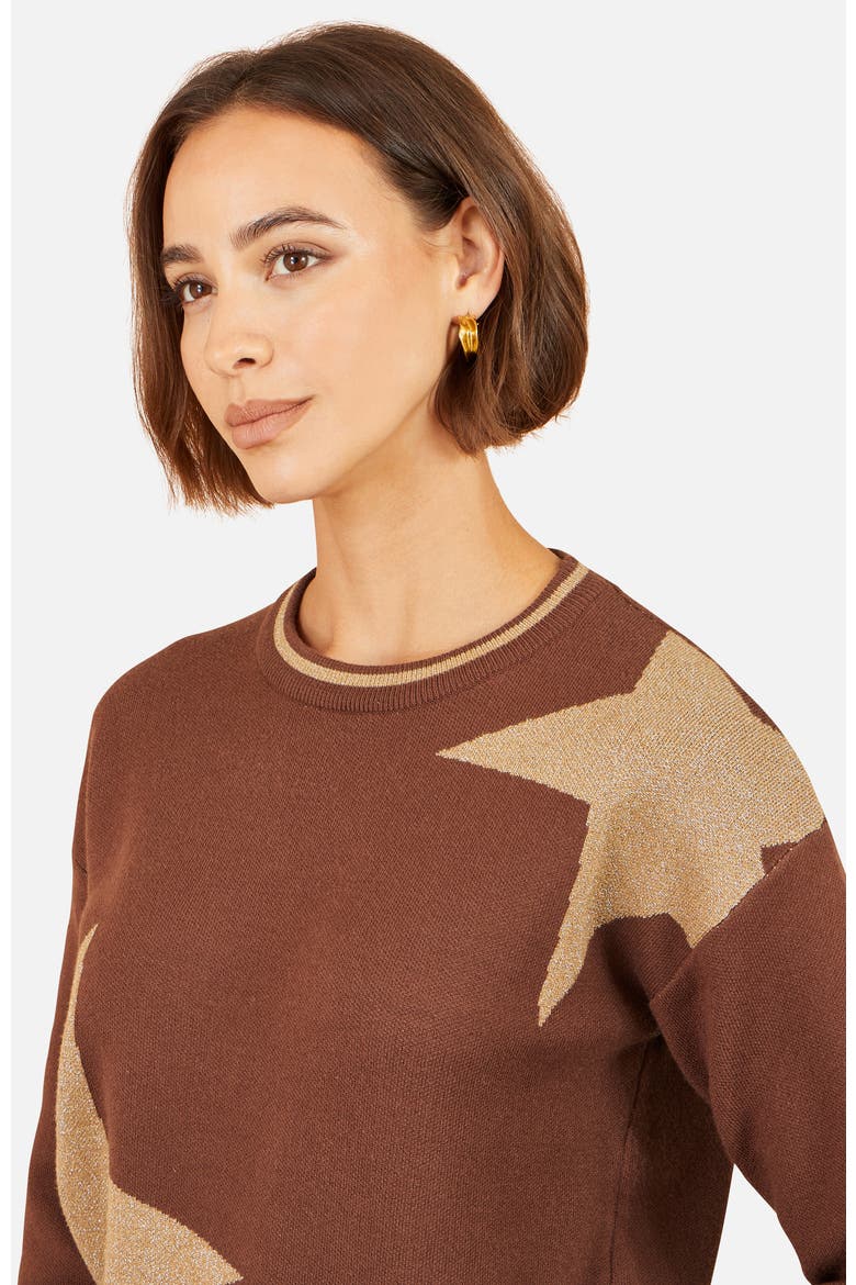 Star Relaxed Jumped With Sparkle, Alternate, color, Brown