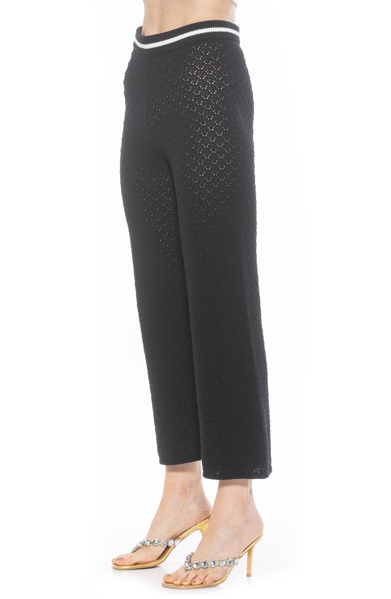 Alexia Admor Kora Cropped Open Stitch Knit Pants, Alternate, color, Black