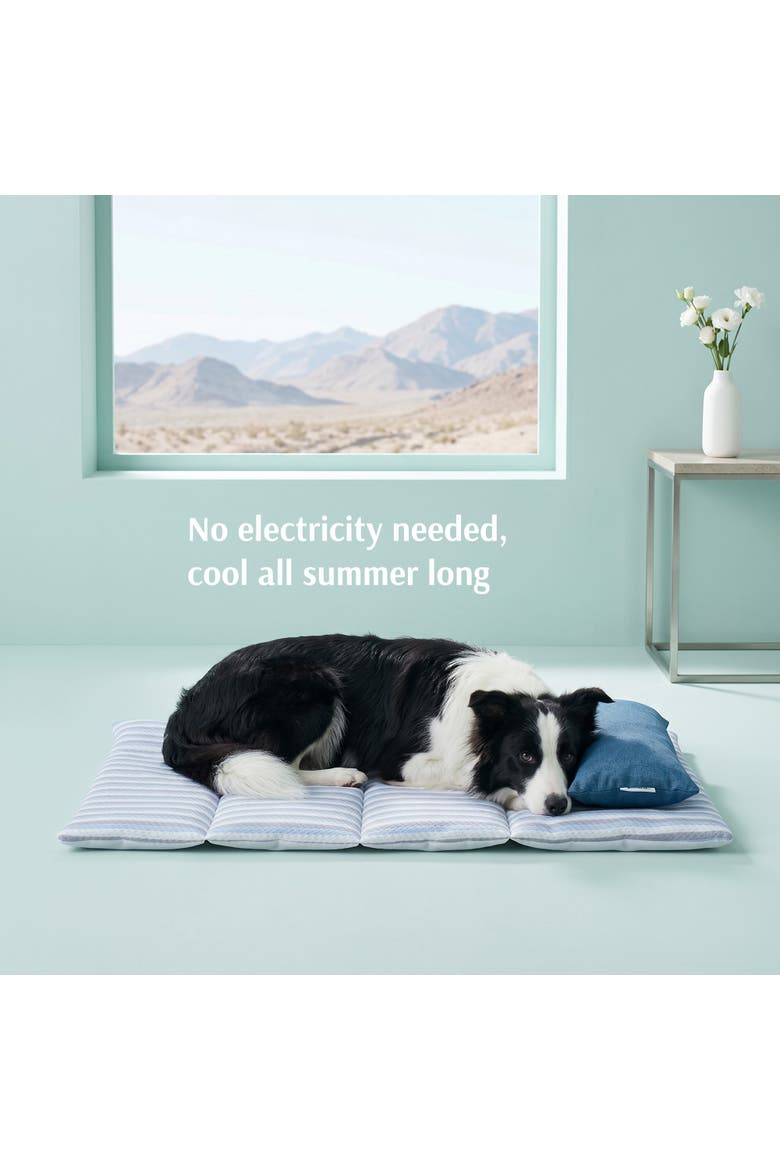 Summer Cooling Pet Bed Mat with Neck Pillow, Alternate, color, Blue Stripe