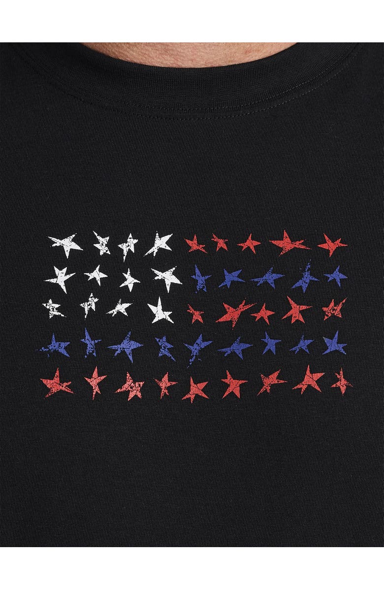 Champion Big & Tall USA Flag Graphic Tee, Alternate, color,