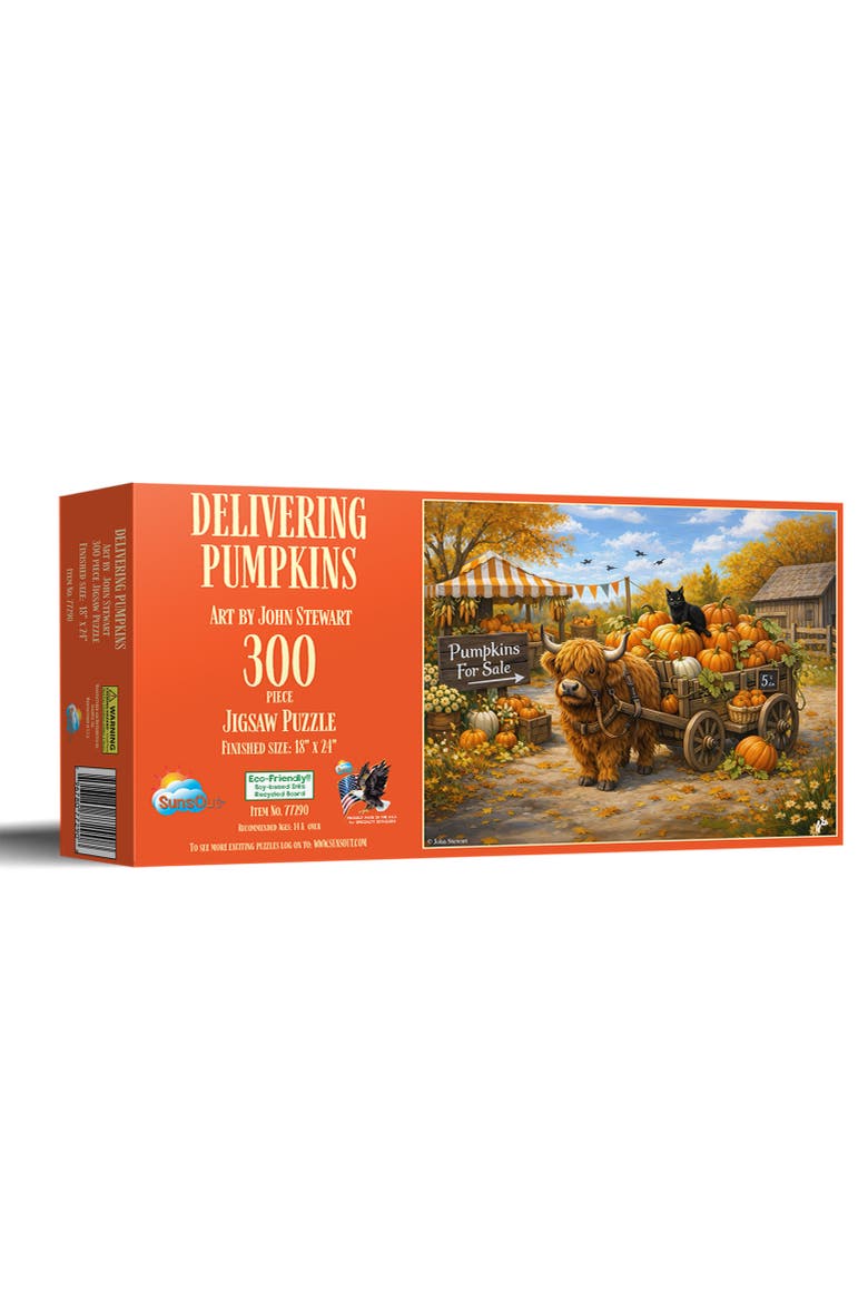 Delivering Pumpkins 300, Main, color, Multicolor