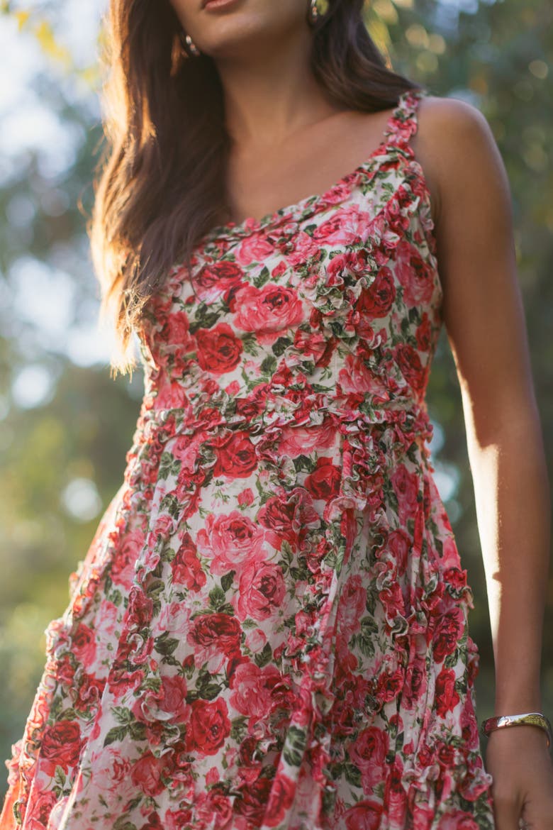 Ruffle Scoop Neck Floral A-Line Dress, Alternate, color, Pink Multi
