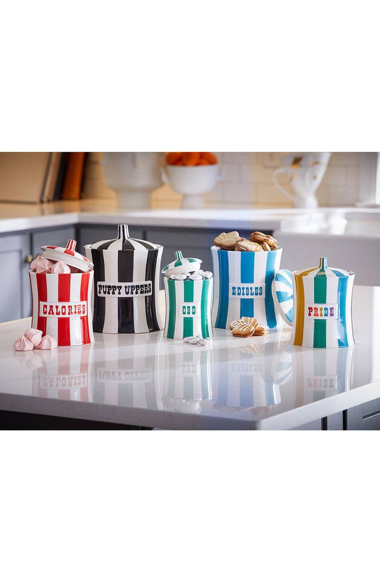 Jonathan Adler Vice Pride Canister, Alternate, color, 
