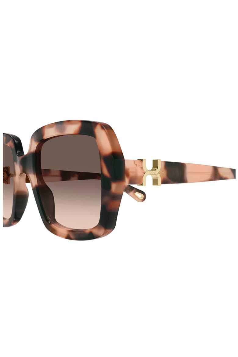 52mm Gradient Square Sunglasses, Alternate, color, HAVANA