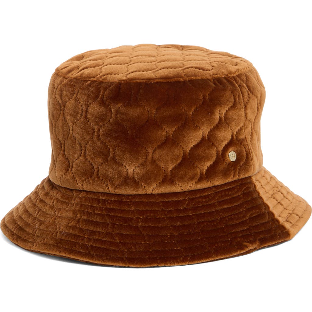 Steve Madden Quilted Velvet Bucket Hat In Brown