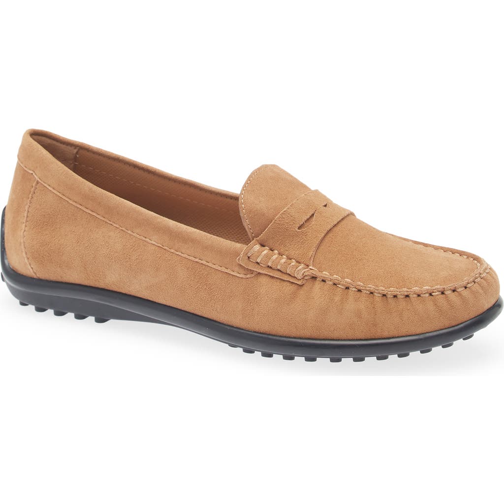 The Flexx Winter Driving Shoe In Brown