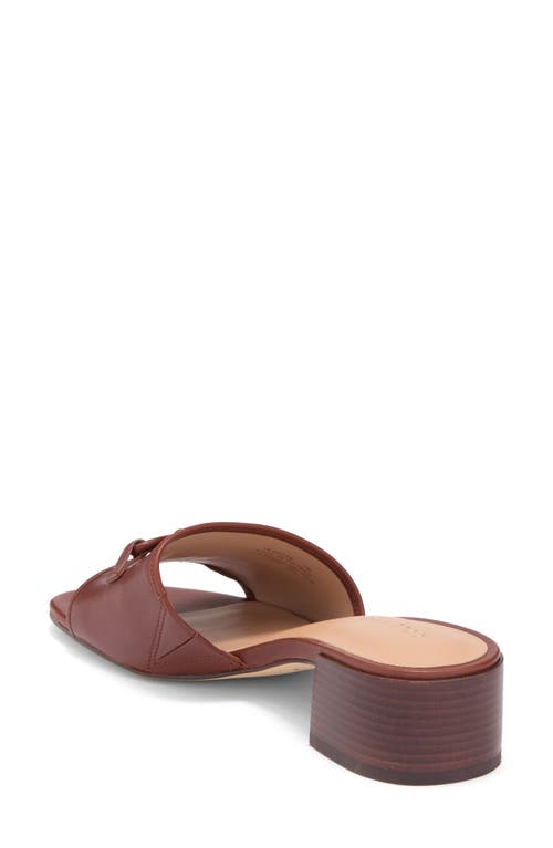 Cole Haan Cailyn Bow Slide Sandal In Brown