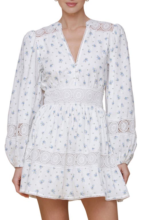 Avec Les Filles Lace Trim Long Sleeve Cotton Minidress In Scattered Ditsy