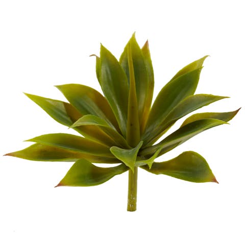 5-in Mini Agave w/19 Lvs (Set of 12)