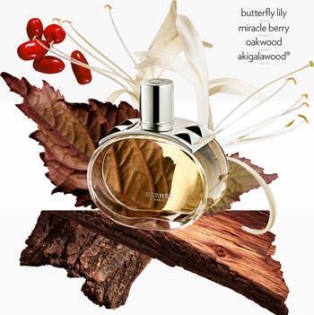 Barénia - Eau de Parfum