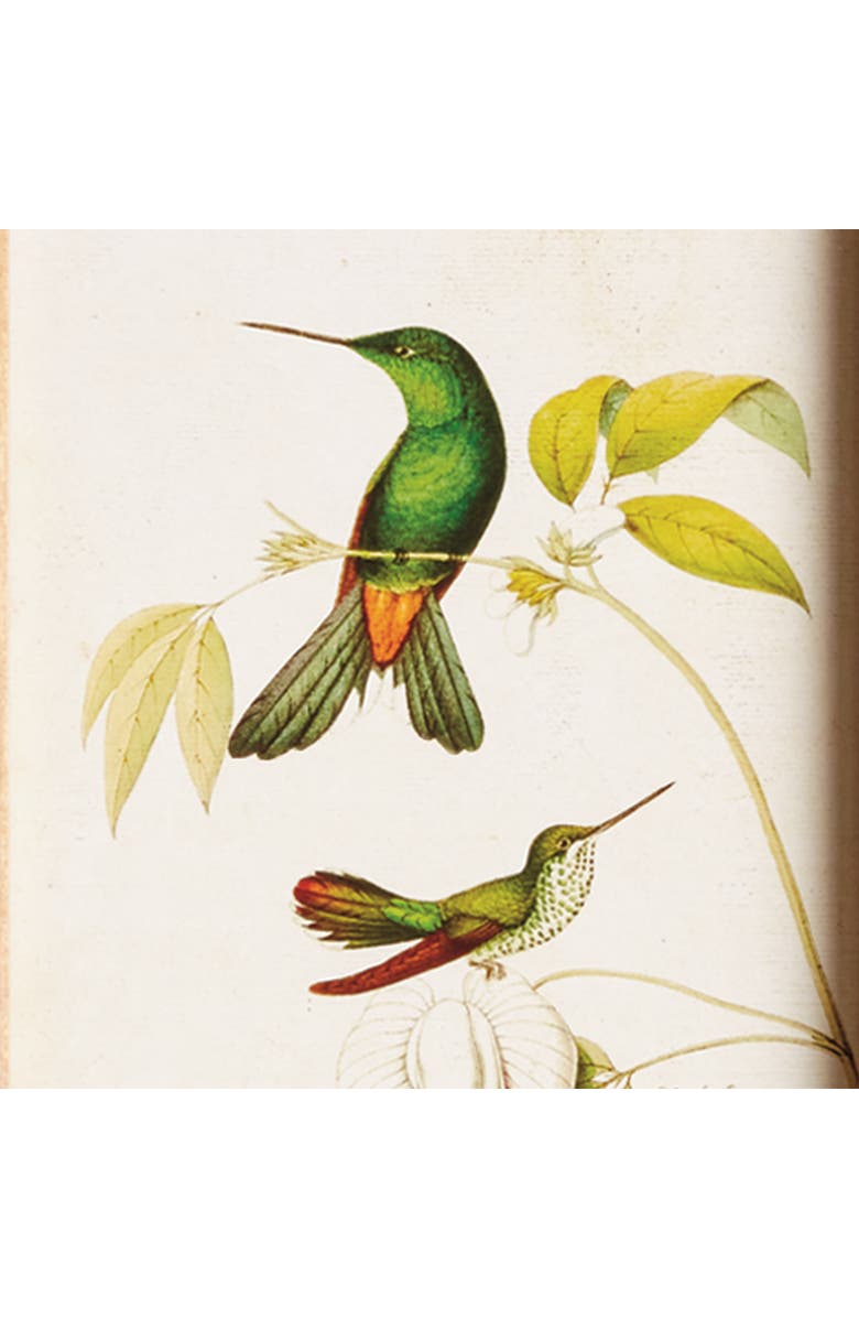 Napa Home & Garden Hummingbirds In Blooms Study, Set Of 8 - Multicolor Prints, Alternate, color, 