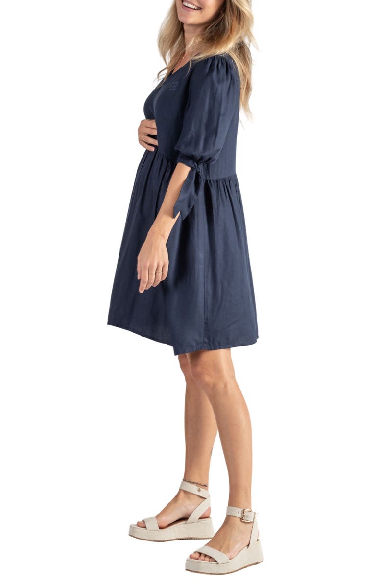 Cache Coeur Amy Maternity/Nursing Babydoll Dress, Alternate, color,