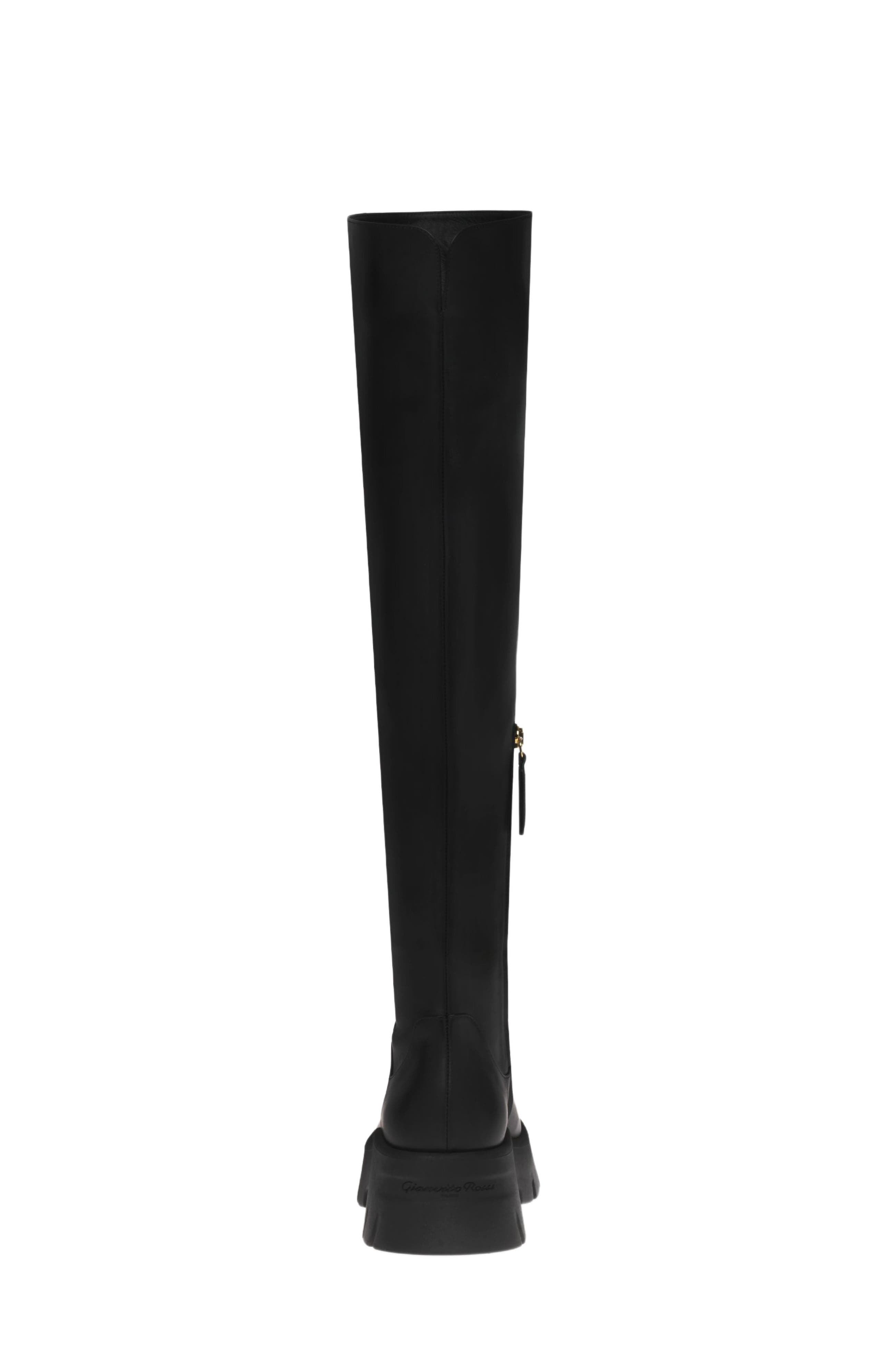 Gianvito Rossi Montey Cuissard Boots, Alternate, color, 
