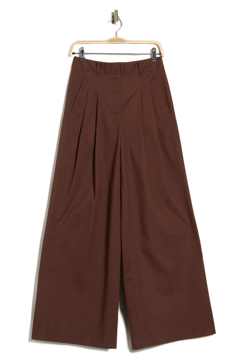 Juliana Wide Leg Pleated Pants, Alternate, color, COFFEE