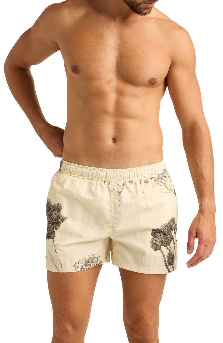 AUTO-REPLY<sup>™</sup> Print 4-Inch Nylon Swim Trunks, Main, color, Beach Brush/Natural