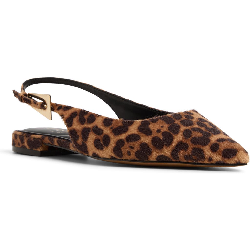 Aldo Kristell Pointed Toe Slingback Flat