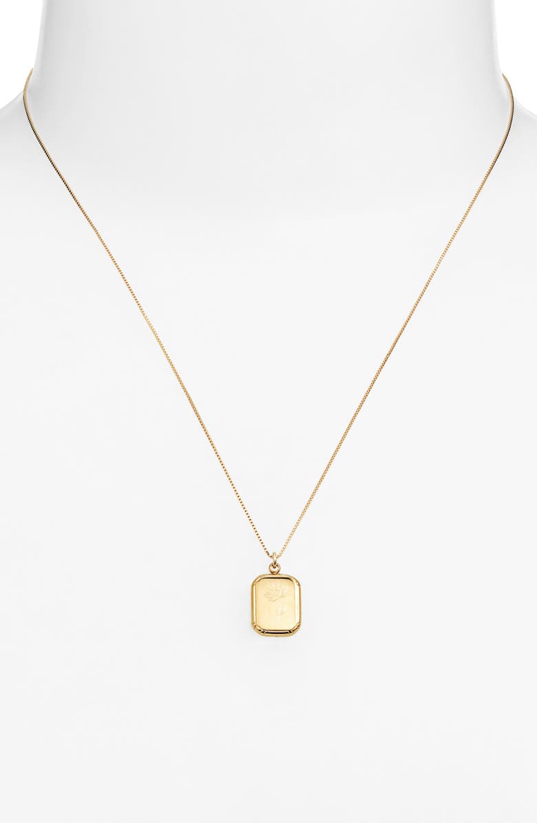 Set & Stones Audrey Birth Flower Pendant Necklace, Alternate, color, Gold / July - Waterlily