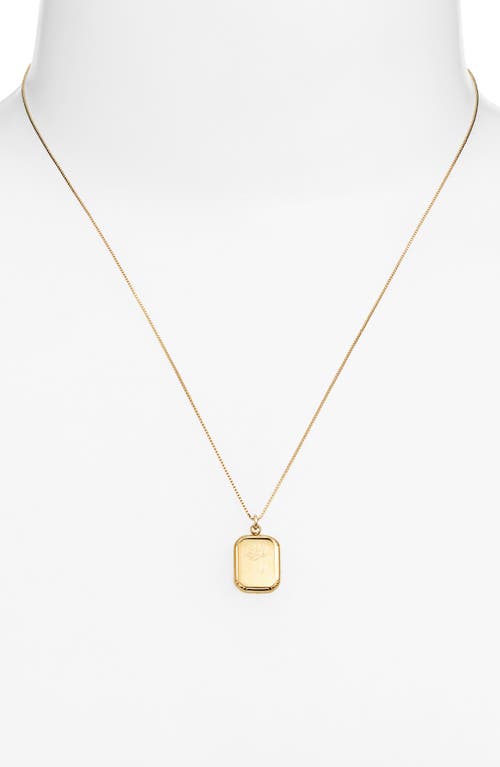 Set & Stones Audrey Birth Flower Pendant Necklace In Gold