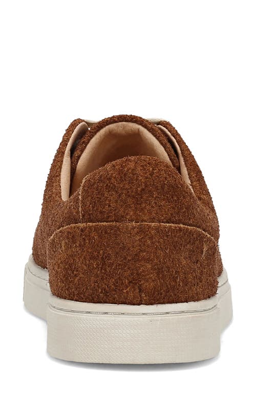 Frye Ivy Low Top Sneaker In Brown