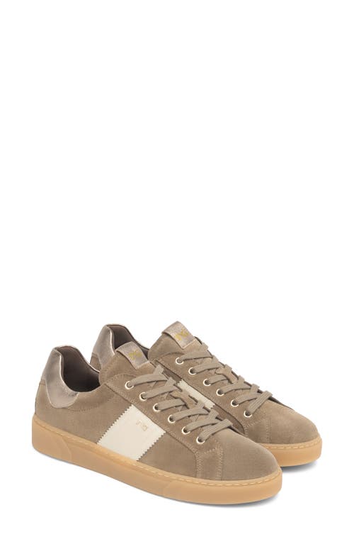 Nerogiardini Retro Low Top Sneaker In Brown
