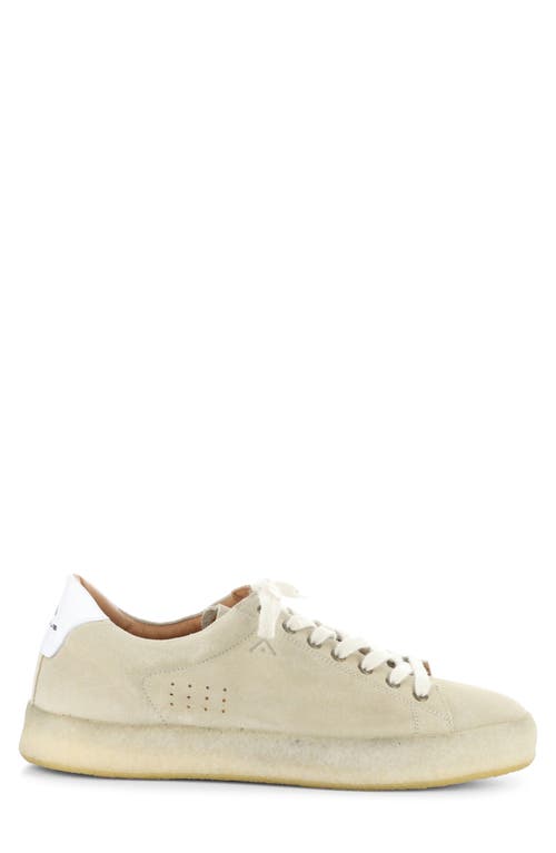 AMBITIOUS AMBITIOUS 13410 LOW TOP SNEAKER 