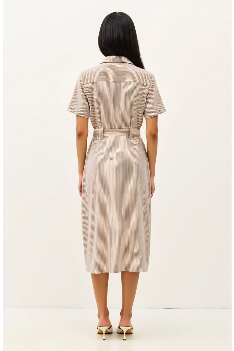 Striped Button-Down Midi Dress with Waist Tie and Collared Neckline, Alternate, color, Beige / Brown Striped