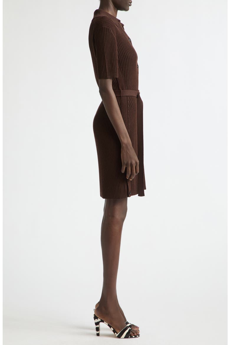 Rib Polo Dress, Alternate, color, EXPRESSO