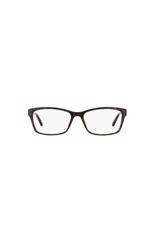 Sferoflex 53mm Square Optical Glasses In Brown
