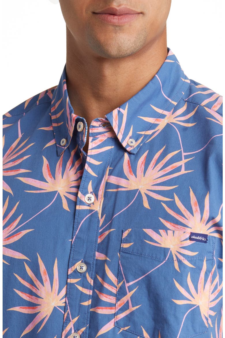 Friday Stripe Stretch Button-Down Shirt, Alternate, color, THE BIRDS OF PARDISE