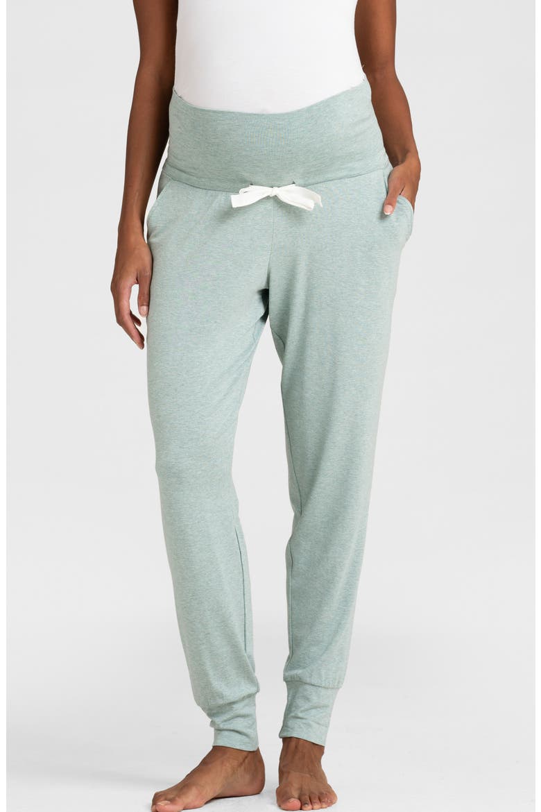 Assorted 2-Pack Maternity Joggers, Alternate, color, NAVY & SAGE