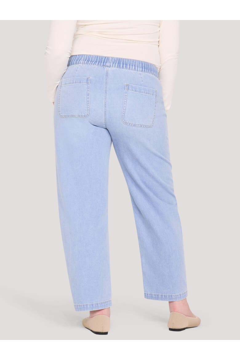 Pull-On Drawstring Barrel Jean, Alternate, color, Addie Light Wash