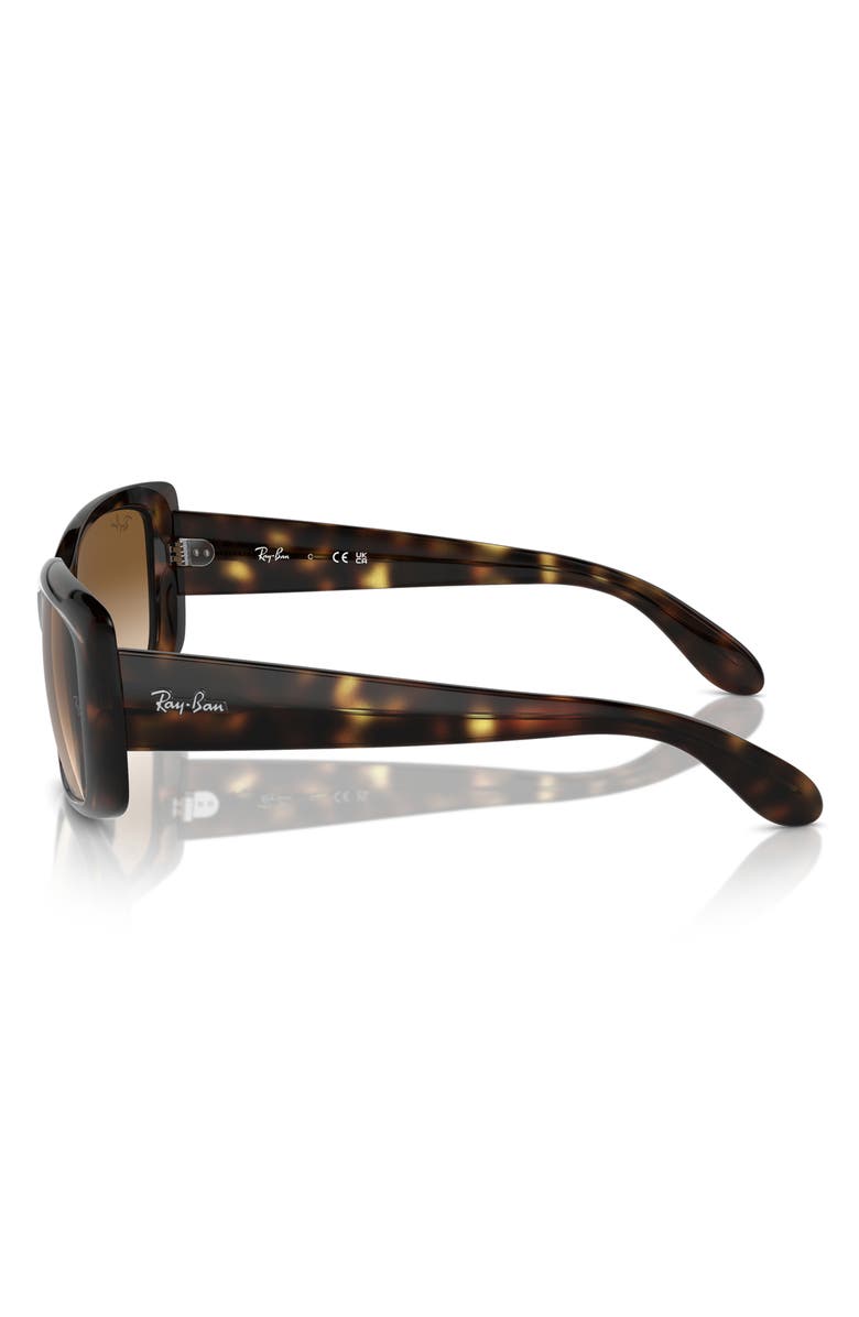 Ray-Ban 55mm Pillow Sunglasses, Alternate, color, Dark Havana