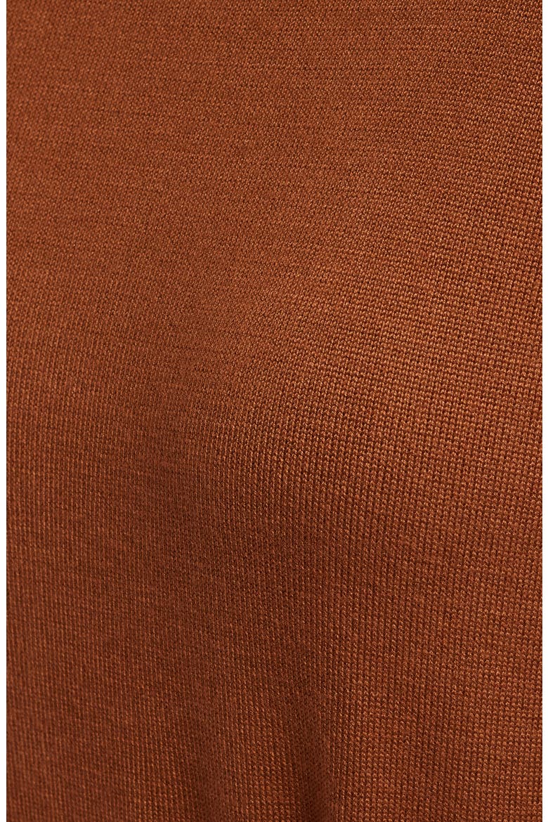 Turtleneck Long Sleeve Midi Dress, Alternate, color, BROWN