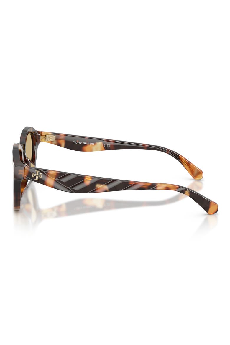 48mm Phantos Sunglasses, Alternate, color, CONTRAST TORTOISE / YELLOW