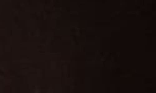 Memoi Velvet Bow Rib Cotton Tights In Black