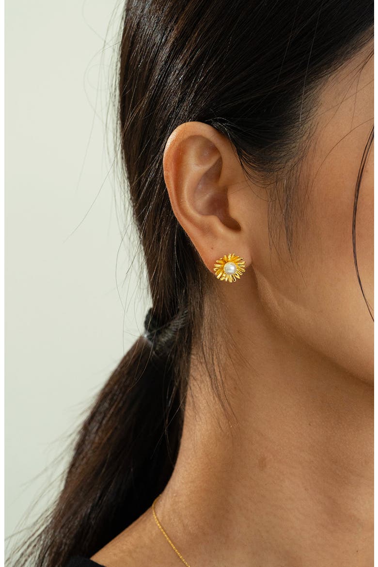 Sterling Silver 18k Gold Plated Flora Pearl Necklace & Earring Set Dainty, Alternate, color, Gold