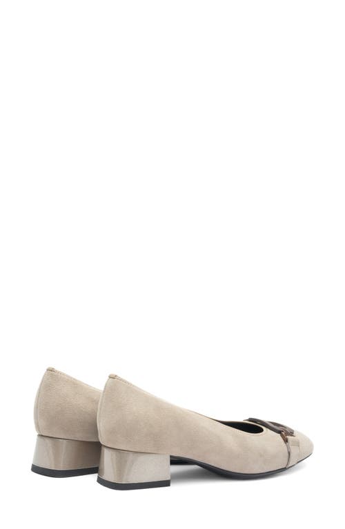 Ara Glacier Pump In Brown