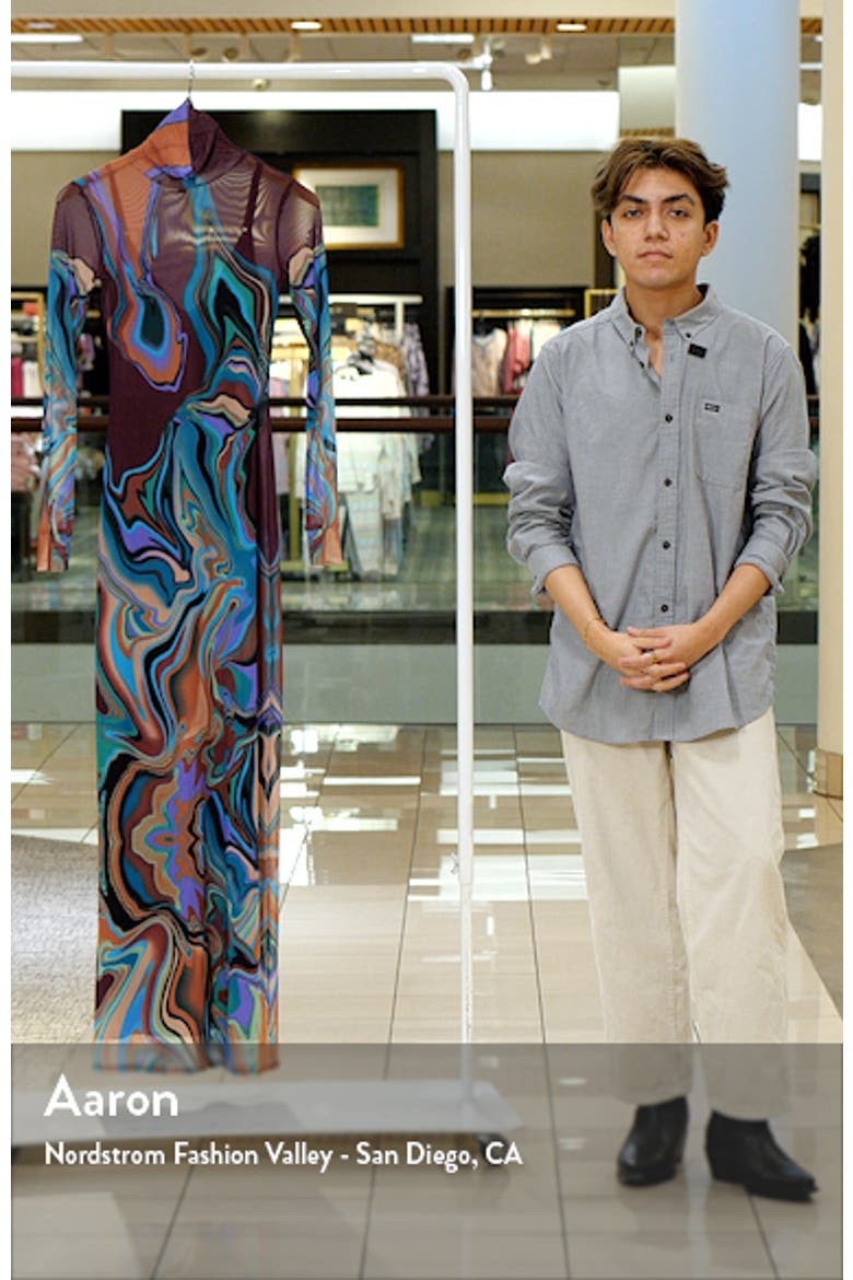 Billie Print Long Sleeve Semisheer Dress video