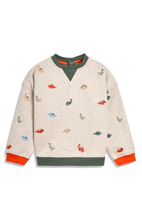 Kids' Dinosaur Embroidered Cotton Sweatshirt (Toddler & Little Kid)