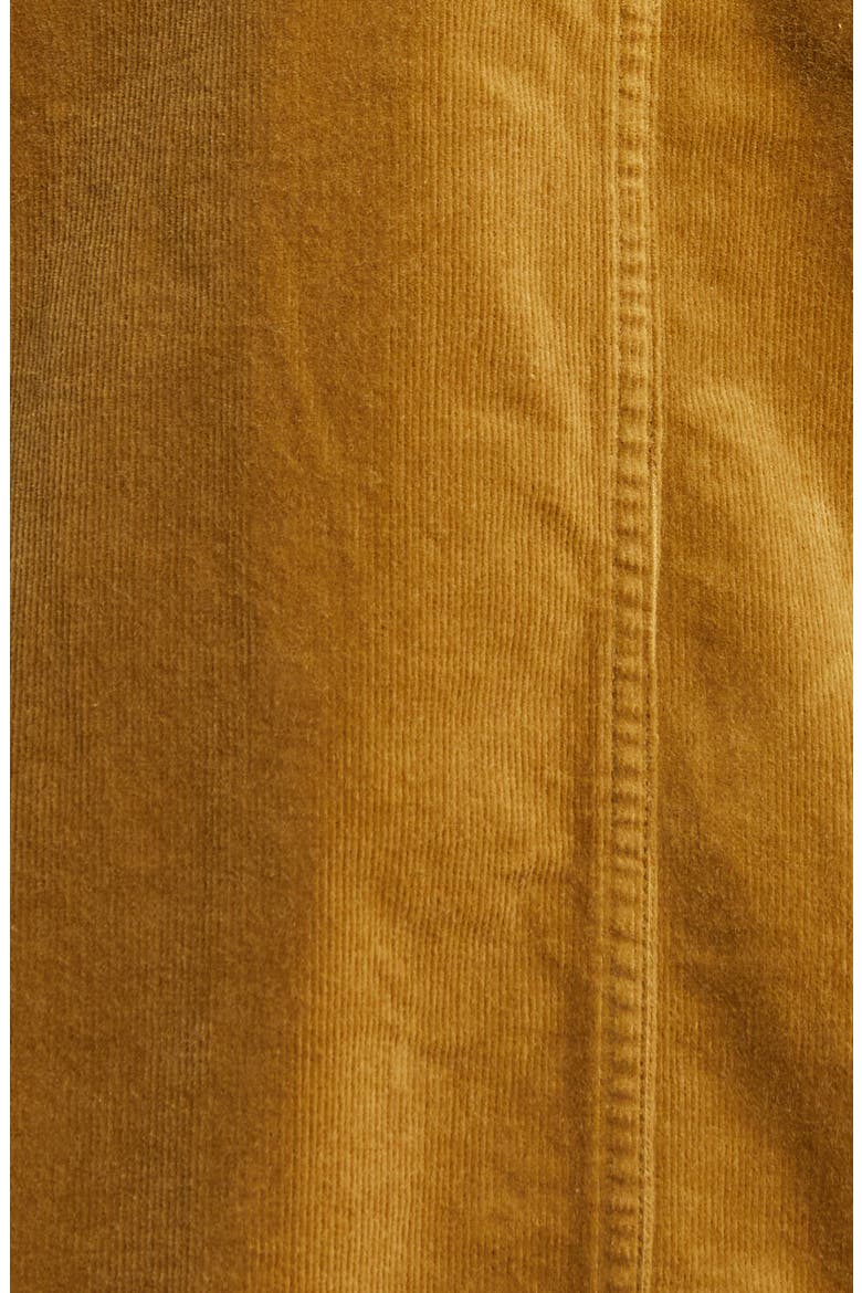 Classic Collar Organic Cotton Corduroy Jacket, Alternate, color, BUTTERNUT